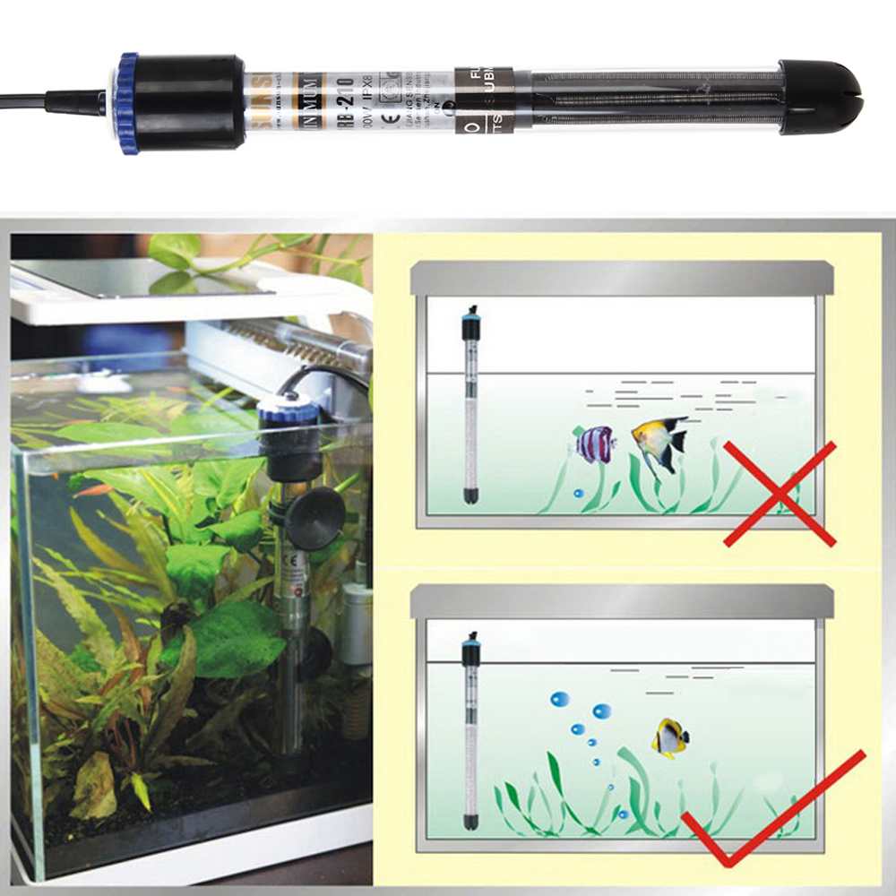 A Step by Step Guide on How to Start an Aquarium