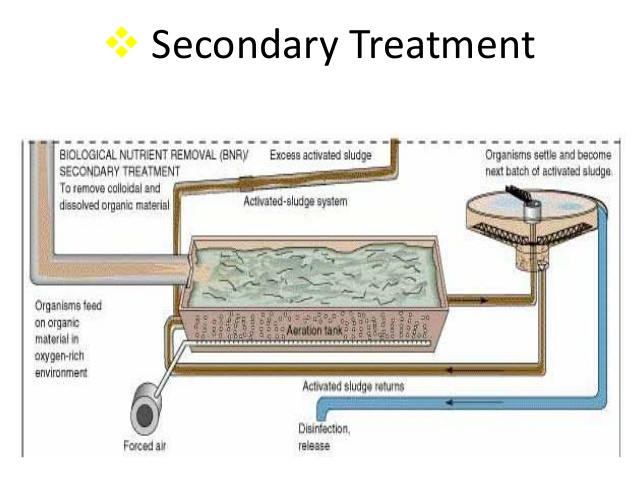 literature review on sewage water treatment